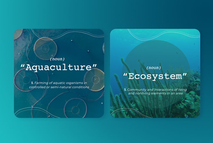 Explanatory images of Aquaculture and Ecosystems, done in Adobe Photoshop, photos taken from Unsplash