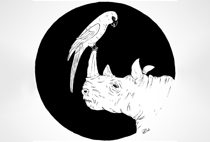 Traditional drawing of two near extinct species, done in black ink